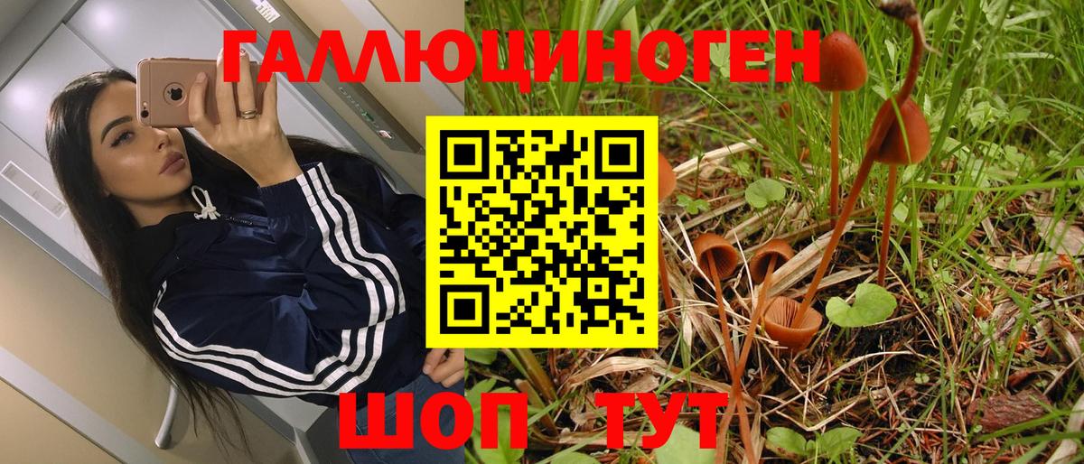 Псилоцибиновые грибы MAGIC MUSHROOMS Нурлат