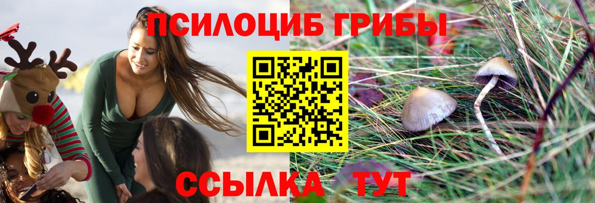 Псилоцибиновые грибы Psilocybe  Вход с VPN  Нурлат 